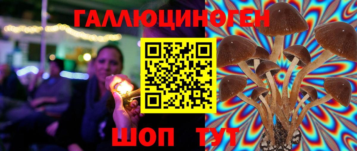 Галлюциногенные грибы ЛСД Павловский Посад